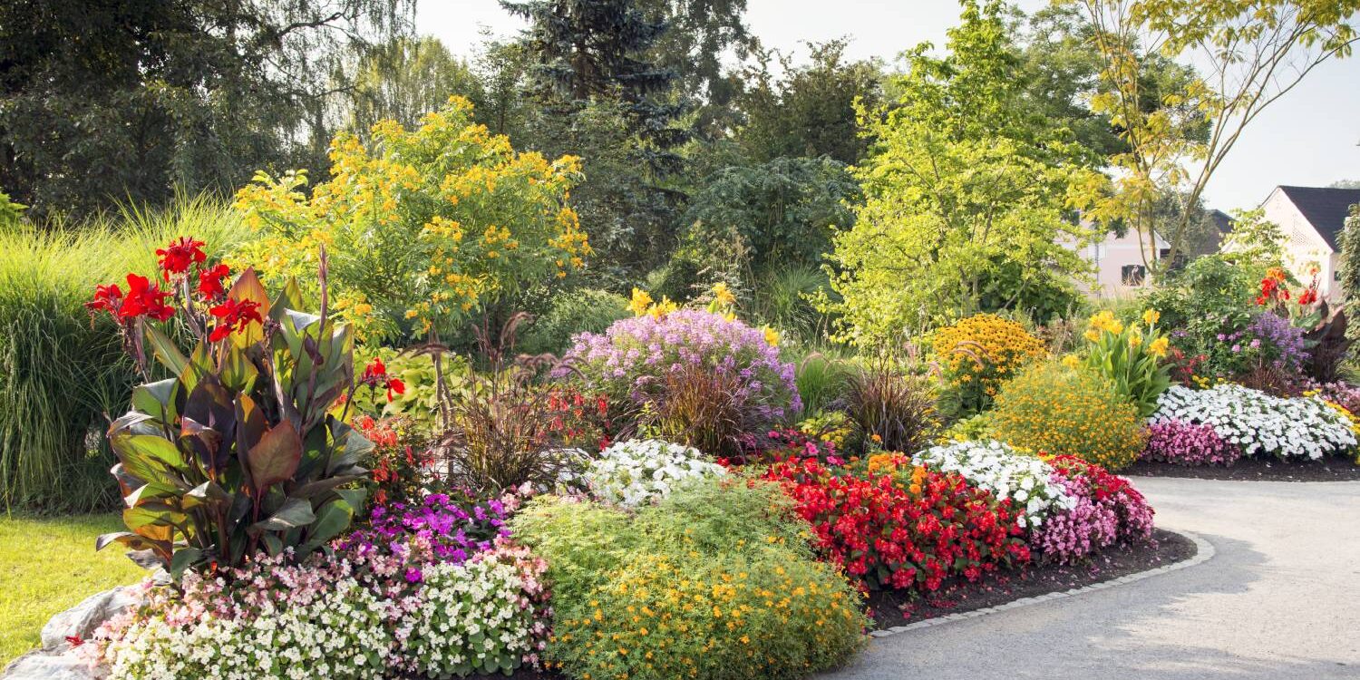MASSIF_FLEURI 1500X750 | Le HAMO® Quelles sont les plantes locales idéales pour une maison avec jardin en Alsace ? Kingersheim