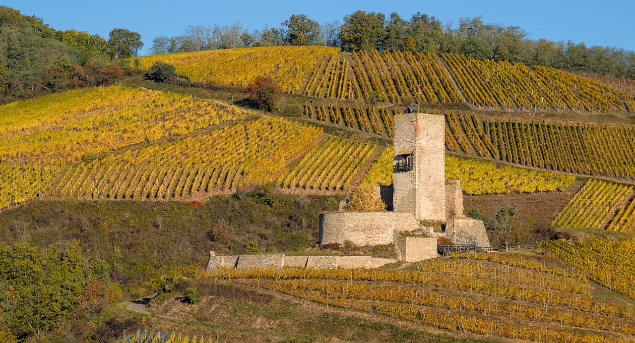 NATURE 6779026_1280 | Le HAMO® Le Hamo du Wineck Cernay 0