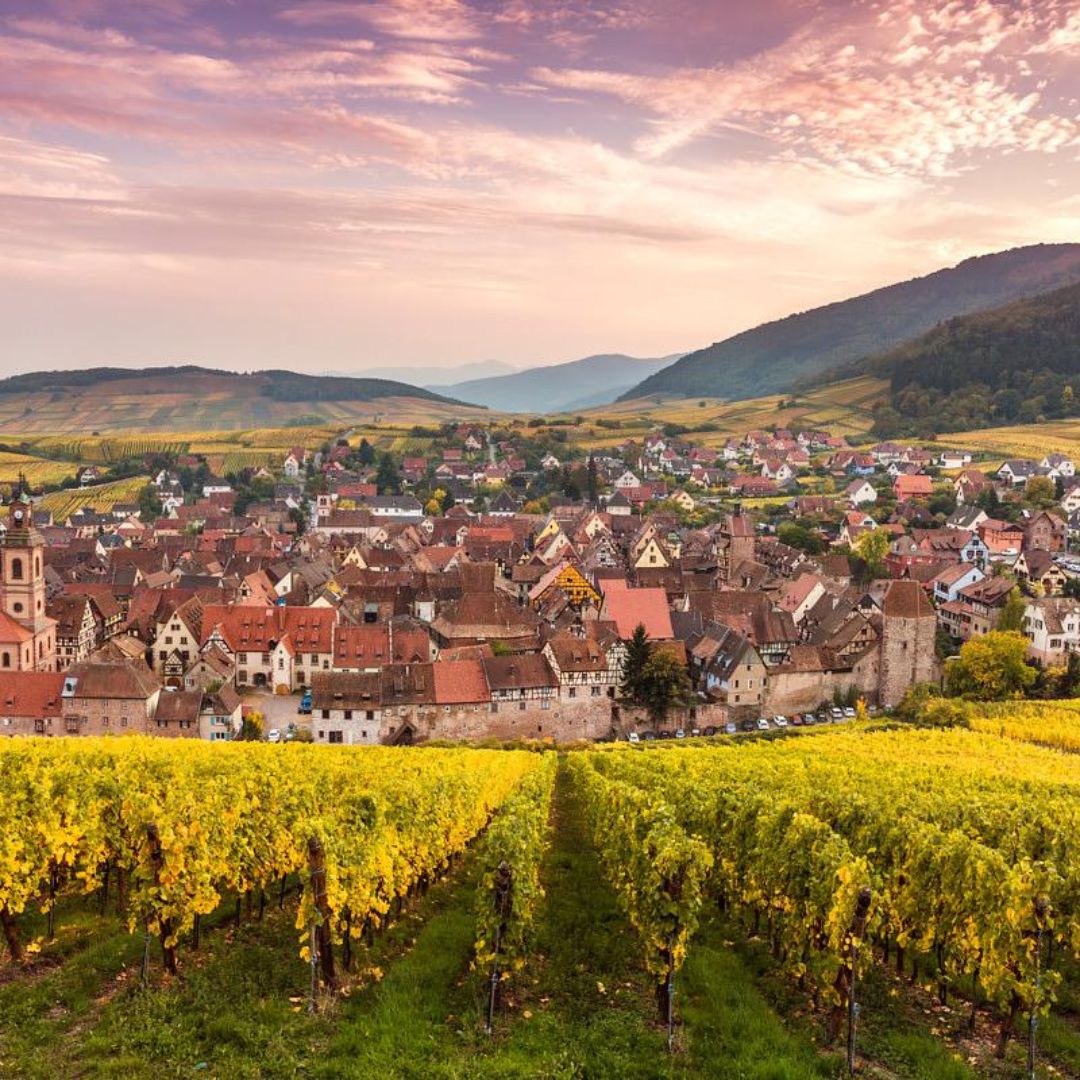 1 | Le HAMO® Riquewihr à l’honneur : investir dans Le Hamo, nos maisons neuves au cœur d’une destination d’exception Pfastatt 1